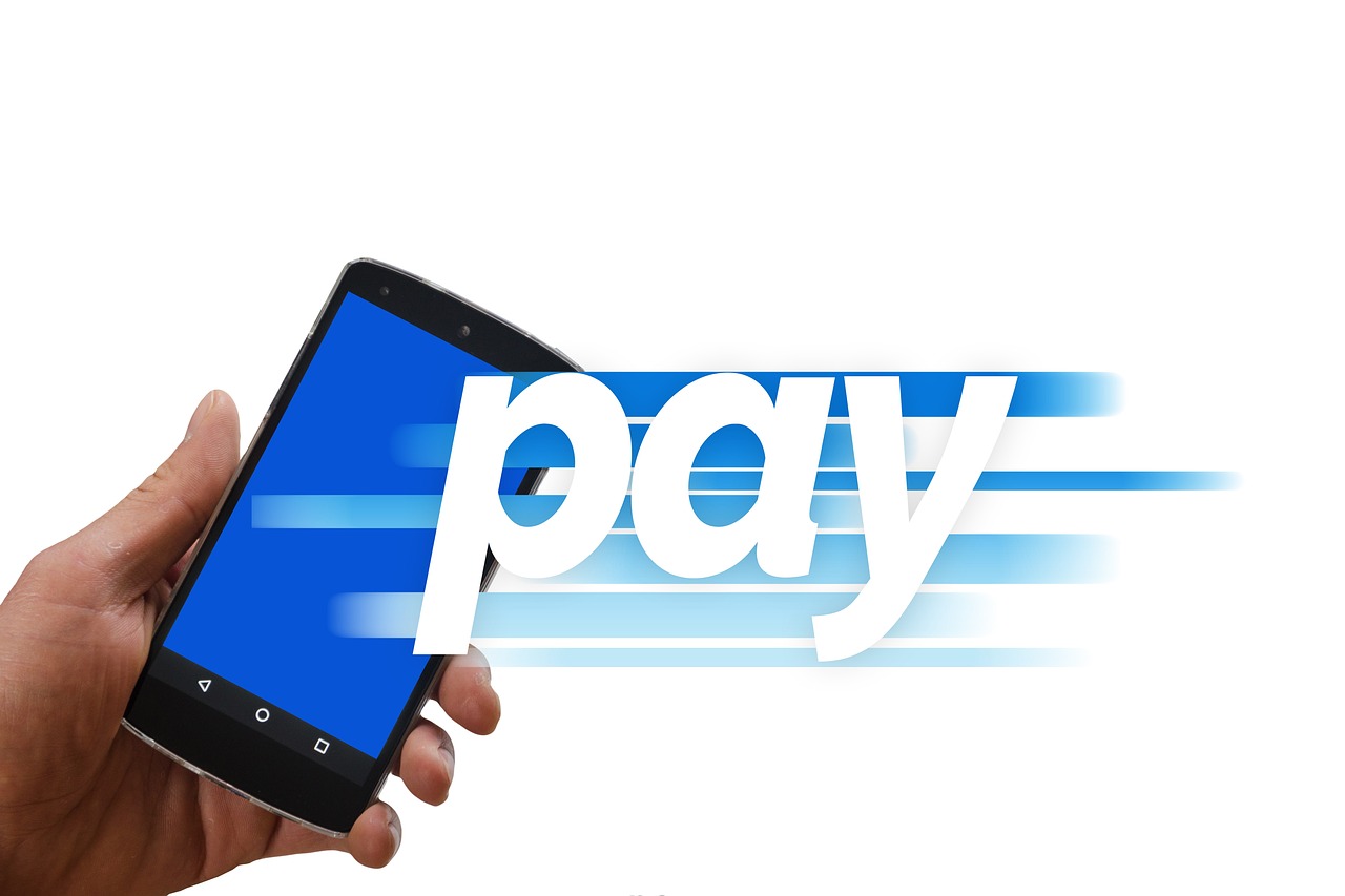 A hand holding an Android phone with the word pay streaming from its blue screen - mobile payment and banking apps are exactly what Rokarolla targets.